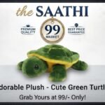 Adorable Green Turtle Plush Soft Toy