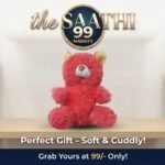 Cute & Soft Plush Teddy Bear Toy